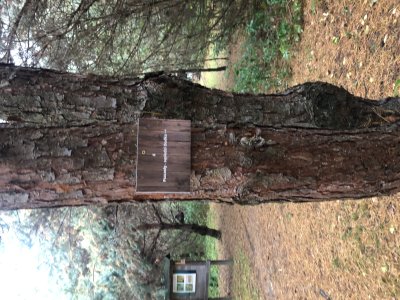 Kodowanie w terenie - 3