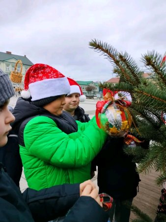 Ubieranie choinki na Placu Wolności — zdjęcie 1