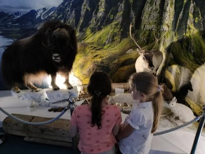 Rozstrzygnięcie XXXVIII edycji Ogólnopolskiego Konkursu Plastycznego pod hasłem „Mój Las” w Nadleśnictwie Puławy. - 24