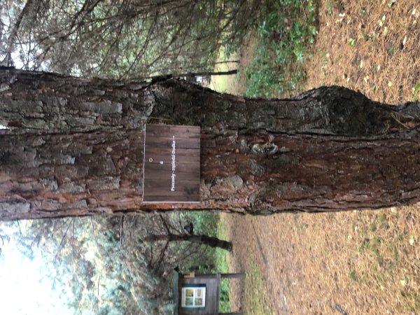 Kodowanie w terenie — zdjęcie 3