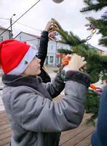Ubieranie choinki na Placu Wolności - 6