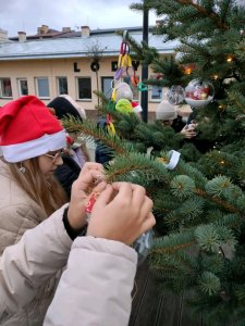 Ubieranie choinki na Placu Wolności - 10