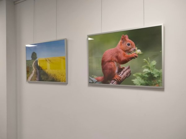 SP1 na wystawie fotografii w PDK — zdjęcie 5