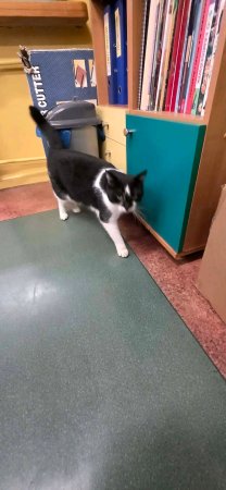 Spotkanie uczniów z przedstawicielami stowarzyszenia „Empatyczni” z Radzynia Podlaskiego — zdjęcie 9