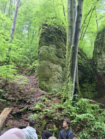 Wycieczka do Ojcowskiego Parku Narodowego i do Energylandii. — zdjęcie 5