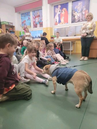 Spotkanie uczniów z przedstawicielami stowarzyszenia „Empatyczni” z Radzynia Podlaskiego — zdjęcie 8